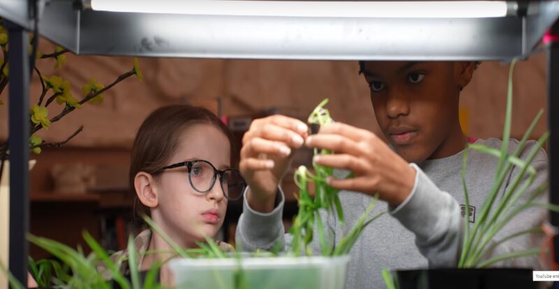 NEW Green STEM Programming Offered for K- 6 Students at Our Lady of ...
